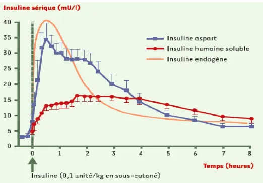 Figure 16. L’insuline aspart injectée reproduit mieux que l’insuline humaine injectée en sous-cutané le  profil de l’insuline endogène après la prise d’un repas [13] 