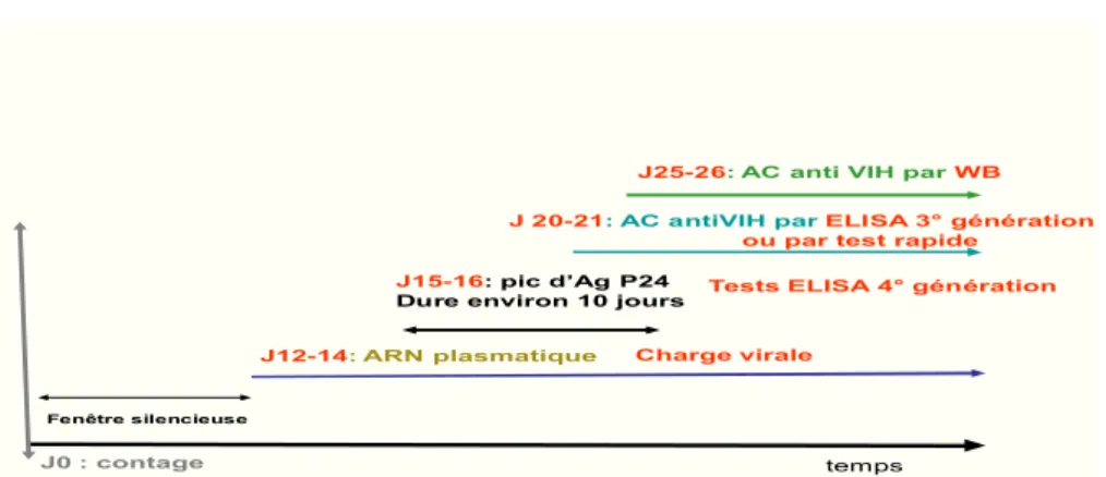 Figure 10. Tests de diagnostic pratiqués en fonction d’apparition des marqueurs du  VIH 46(Modifié) 