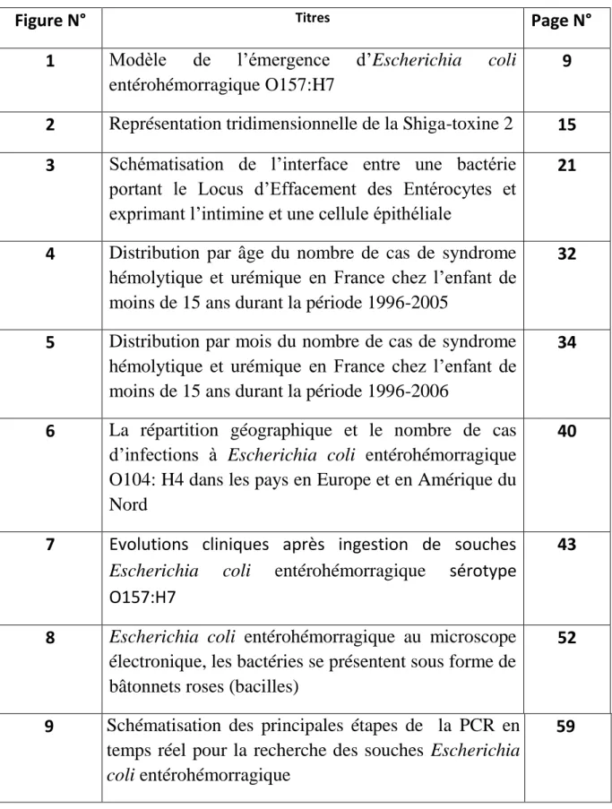 Figure N°  Titres  Page N° 