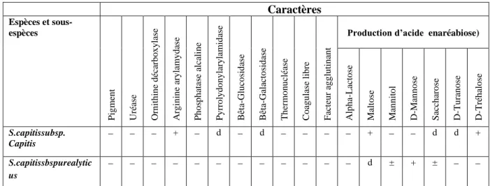 Tableau I.2 : Identification biochimique de S. capitis 