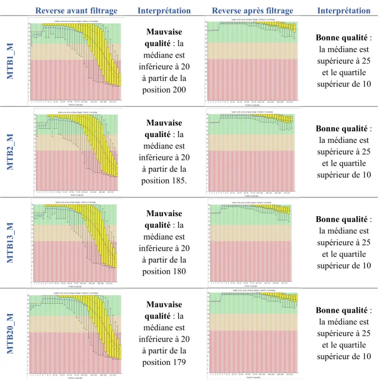 Tableau 7:Per Base Sequence Quality des 4 fichiers Reverse avec FastQC après filtrage 