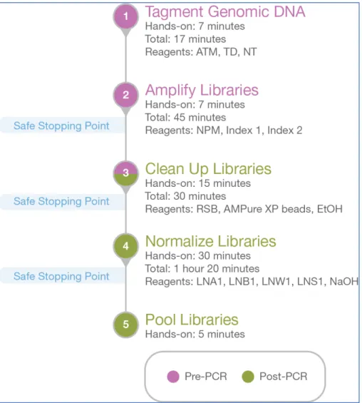 Figure 17:Workflow de préparation de librairie avec le kit Nextera XT 