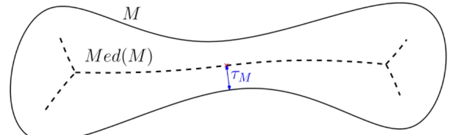 Figure III.3 – Small reach τ M may witness a narrow bottleneck structure.