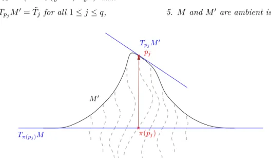 Figure IV.3 – An instance of the interpolating submanifold M 0 . Dashed lines correspond to the image of vertical lines by the ambient diffeomorphism Φ defining M 0 = Φ(M ).
