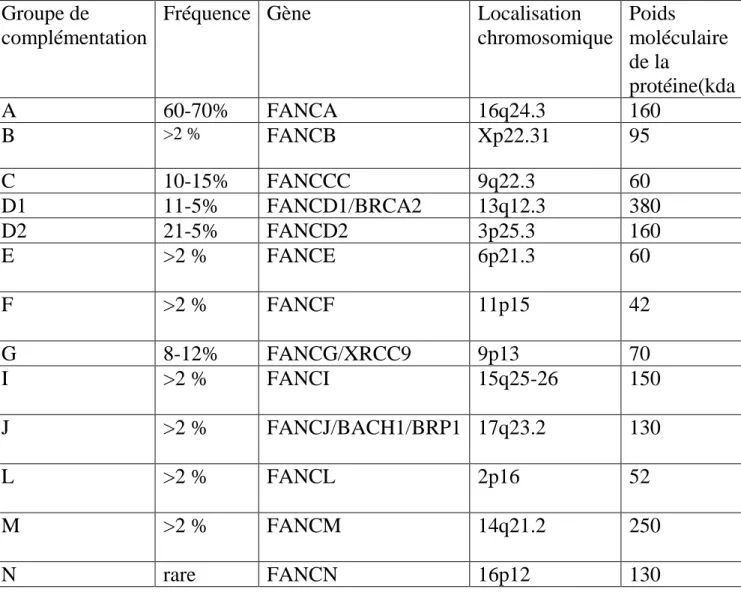 Tableau 2 : Groupes de complémentation de l’anémie de Fanconi (27). 