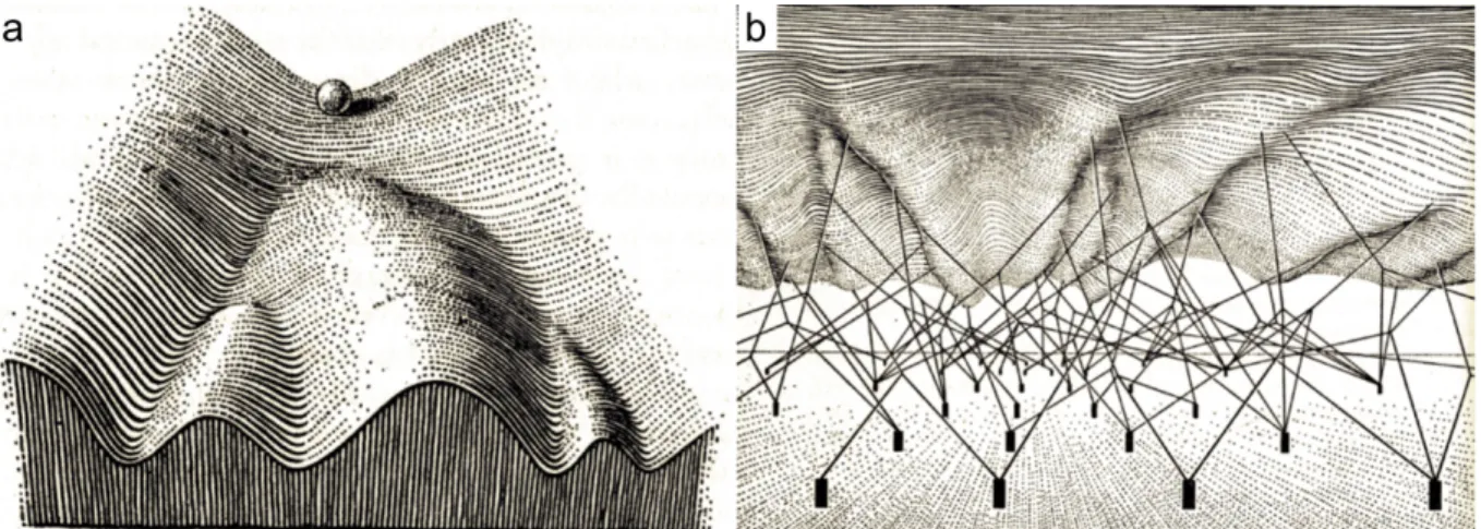 Figure 3. Waddington’s epigenetic landscape (adapted from Waddington 1957). 