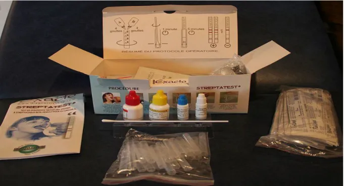 Figure 1 : Test de diagnostic rapide 