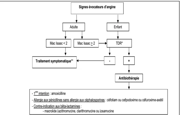Figure 7: Diagnostic et traitement d'une angine selon l'ANSM 