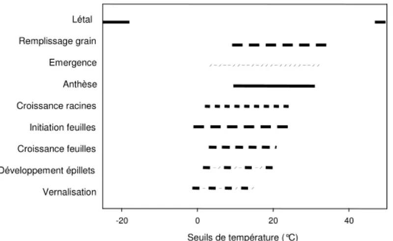 Figure 1-9. Seuils de température associés aux différents stades de développement des Poacées (d’après Porter 
