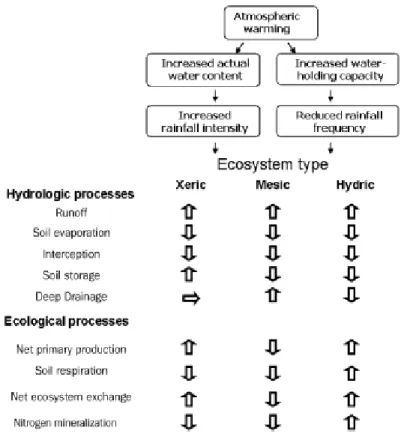Figure  1-13.  Réponses  des  écosystèmes  terrestres  au  réchauffement  et  à  l’augmentation  de  la  variabilité  des 