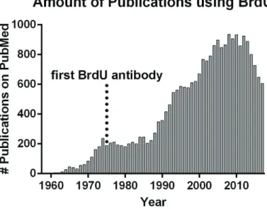 Figure 2. Timeline of BrdU publications 