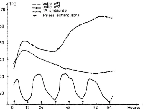 Figure 9 : Evolution comparée de la température des fourrages à 72,8 et 54,7 % de matière sèche, durant  les trois premiers jours de stockage 