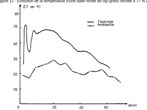 Figure 11 : Evolution de la température d'une balle ronde de ray-grass récolté à 77 % de MS 