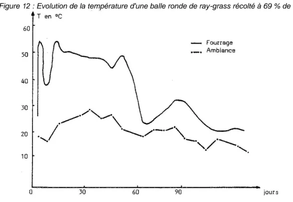 Figure 12 : Evolution de la température d'une balle ronde de ray-grass récolté à 69 % de MS 
