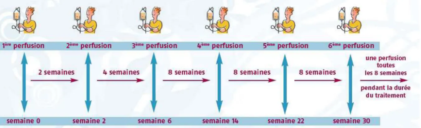 Figure 6: Rythme des perfusions REMICADE ®