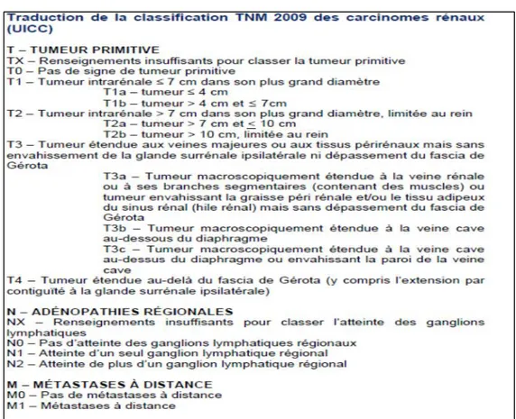 Figure 2 : Classification TNM 2009 des tumeurs renales .(33) 