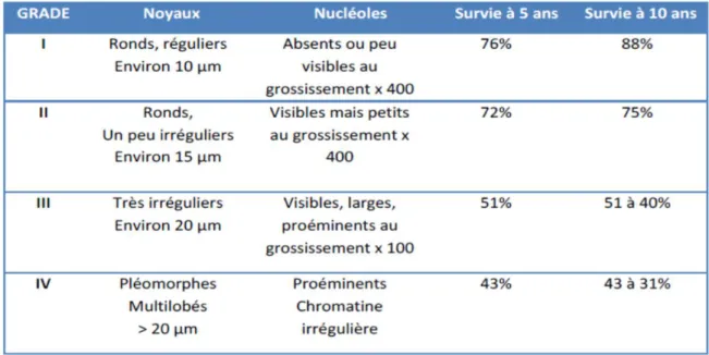 Tableau 1 :  Le grade nucleaire de Fuhrman.(36) 