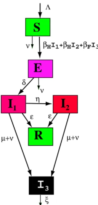 Fig. 6.5 – Le mod`ele equivalent r´eduit Correspondant au syst`eme r´eduit (on fait E M = I M = 0)
