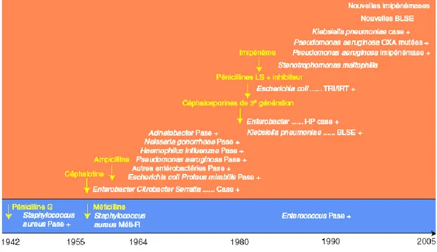 Figure 11. Évolution de la résistance aux bêtalactamines entre 1940 et 2005. TRI/IRT :  résistant aux inhibiteurs/inhibitor TEM resistant ; OXA : oxacillinases ; Case : carbapénémase 