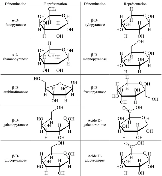 Tableau 4. Principaux monosaccharides et acides uroniques du raisin. 