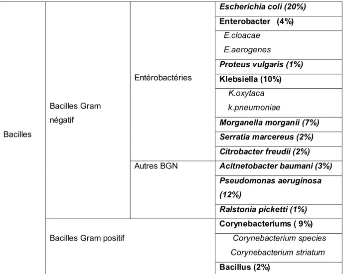 Tableau II:   Répartition des bactéries ( bacilles) isolées. 