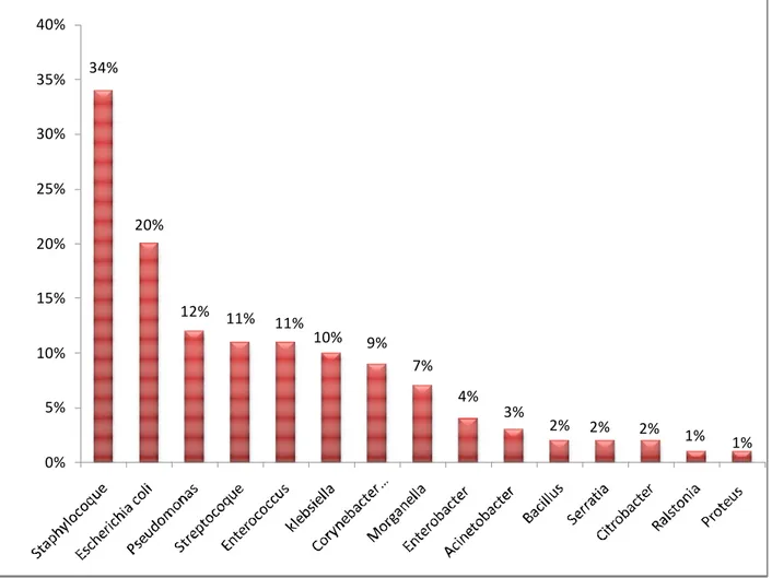 Figure  2 : Distribution  des bactéries isolées selon l’espèce. 