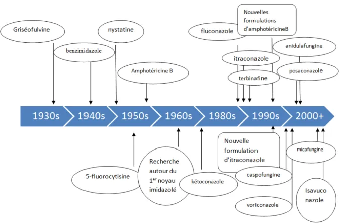 Figure 34 : Historique des antifongiques 