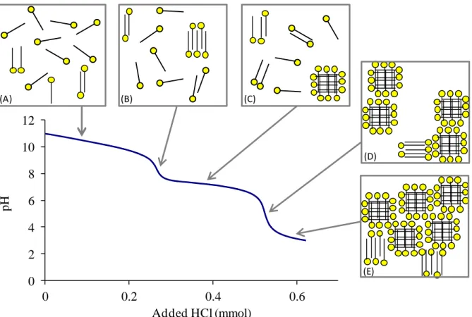 Figure  17:  Titration  of  1  mM  linoleate  with  HCl  at  25°C  to  determine  the  linoleate  conformation