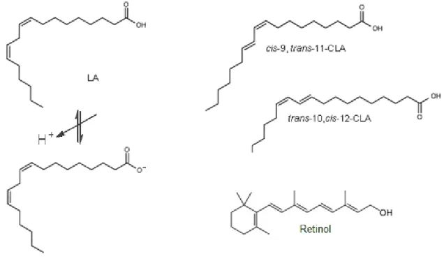 Figure  7:  The  structure  of  cis-9,trans-11-CLA,  trans-10,cis-12-CLA,  LA  and  retinol