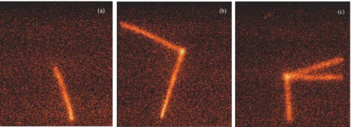 Figure 1.7 – First observation of β-delayed three proton emission (c) from the ground state of 45 Fe.