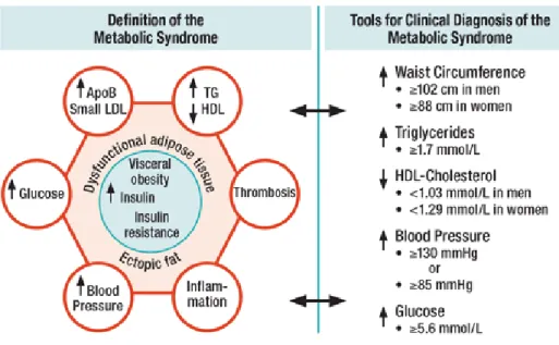 Figure 1  Schematic view of the Metabolic Syndrome. 