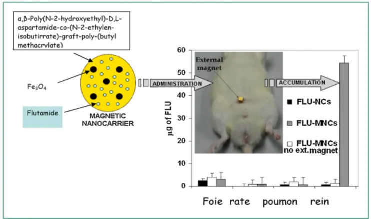 Figure 4: Modification de la distribution de microparticules magnétiques 