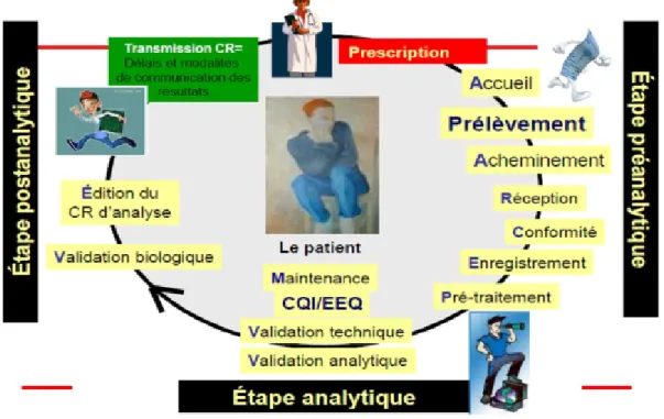 Figure 1: Processus de tests de laboratoire [19] 
