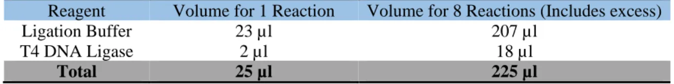 Table 2 Preparation of Ligation master mix 