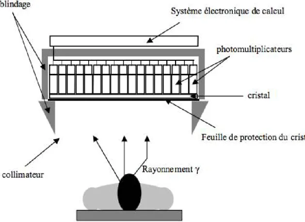 Figure 6: Représentation schématique des composants d'une gamma caméra (Hapdey S. 