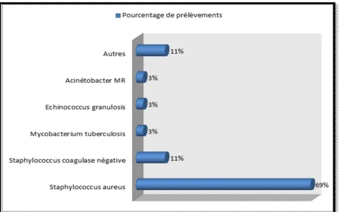 Figure 10 : distribution des germes en fonction des prélèvements réalisés. 