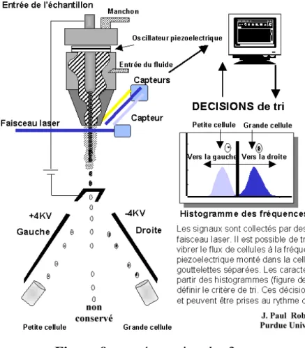 Figure 9 : représentation des 3 composants d’un cytomètre :  le fluidique, l’optique et l’électronique [86]