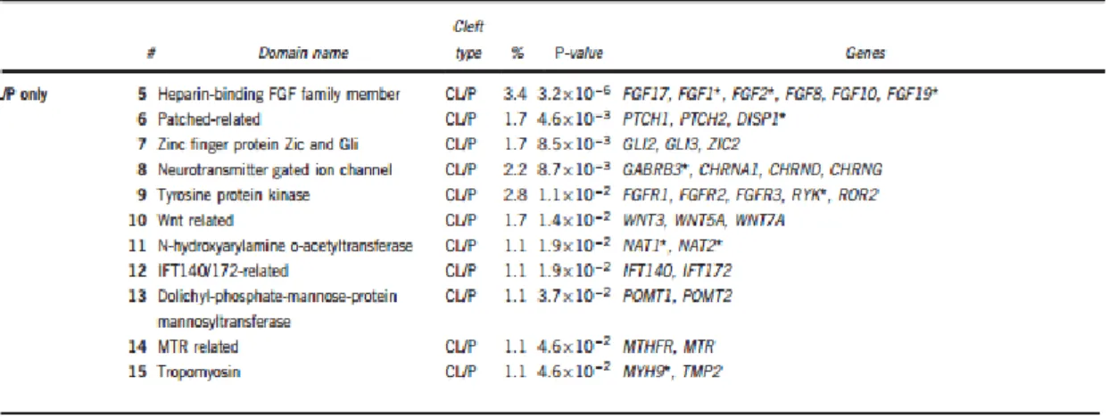 Tableau 2 : Classification des gènes candidats associés aux phénotypes des fentes labio/palatines selon la  famille des gènes