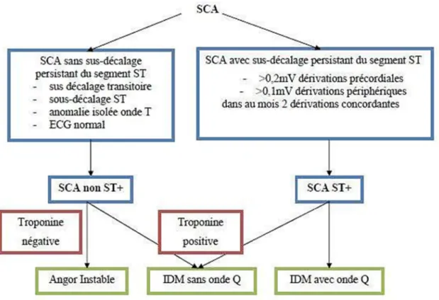 Figure 2: Classification des SCA en 2000 [3]. 