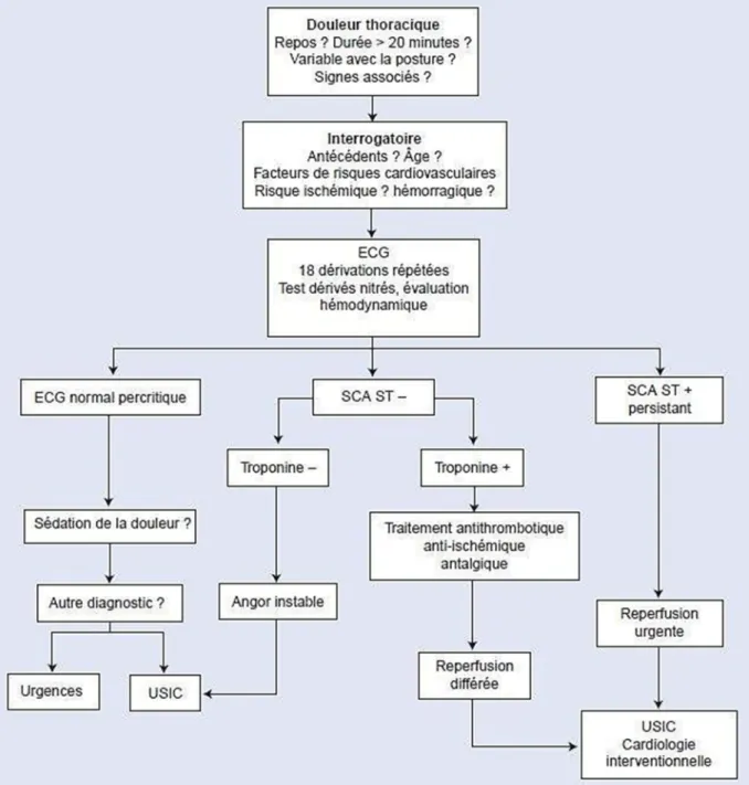 Figure 6: Arbre décisionnel des stratégies diagnostiques de SCA [37]. 