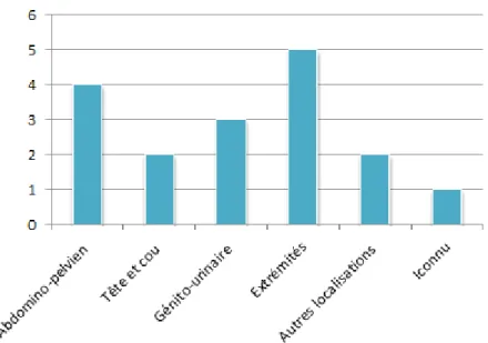 FIGURE 5 : REPARTITION DES TMM SELON LEUR SIEGE 