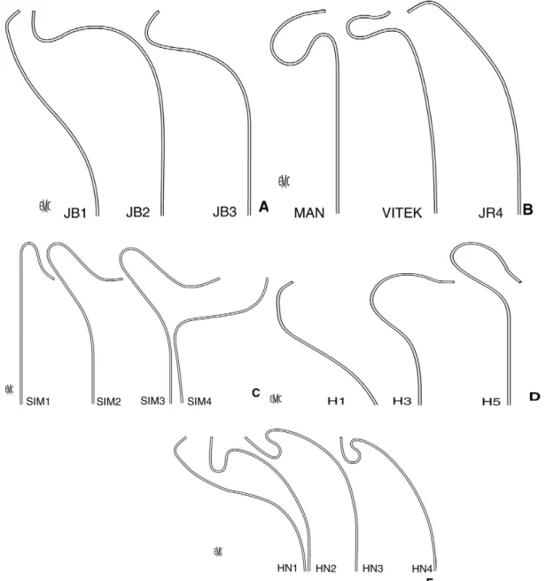 Figure 9 : Cathéters utilisés pour le cathétérisme des troncs supra-aortiques.  79 A. Cathéters de Bentson-Hanafee-Wilson