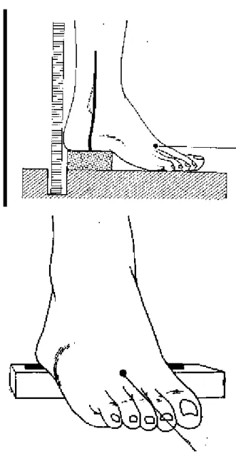 Figure 25 : Réalisation de l'incidence cheville de face en charge. 