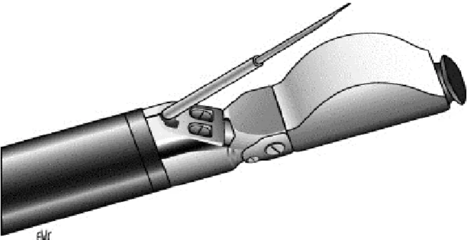 Figure 1 : Echo-endoscope linéaire avec aiguille à biopsie 