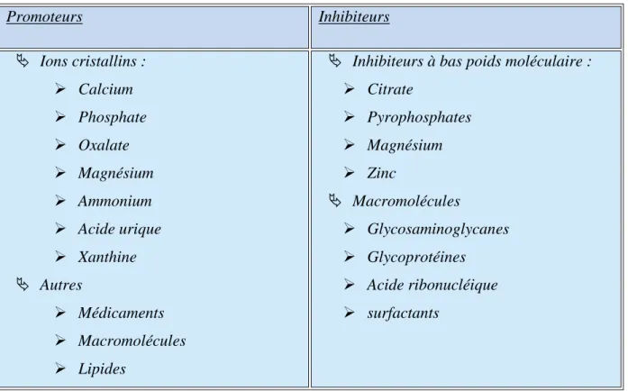 Tableau  I : Principaux promoteurs et inhibiteurs de la cristallisation [19].  Promoteurs  Inhibiteurs   Ions cristallins :   Calcium   Phosphate   Oxalate   Magnésium   Ammonium   Acide urique   Xanthine   Autres   Médicaments   Macromolécules   Lipides 