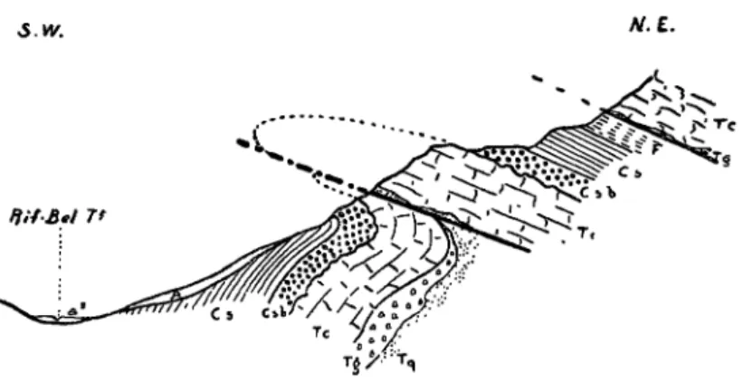 Fig. 8. — Coupe du flanc S-W. de la Montagne de Cugulet  en amont du Pont-de-Vars. 