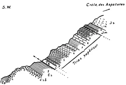 Fig. 2. — Détail des assises du Trias supérieur sur la rive gauche  du Vallon Claus (Voir la légende dans le texte)