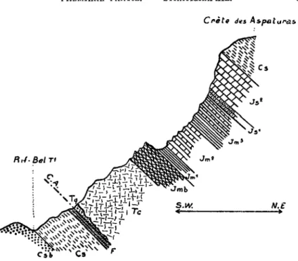 Fig. 3. — Coupe de la rive droite du Ril-Bel relevée un peu en aval  de la Source de Font-Sancte
