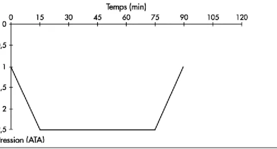 Figure 9 : schéma d’une séance type de l’OHB 
