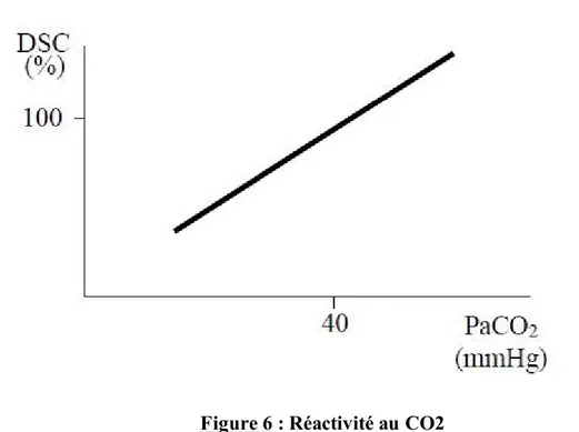 Figure 6 : Réactivité au CO2 